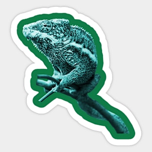 chameleon green Sticker